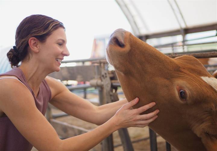 Cream-top milk brings rich rewards to dairy