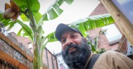 Man's Notts garden transforms into tropical haven as huge bananas grow
