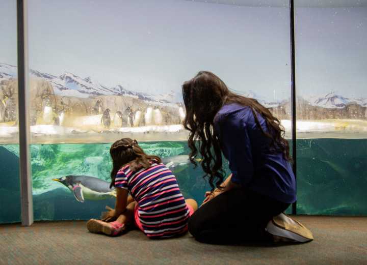 Phoenix fashion show to benefit Big Brothers Big Sisters