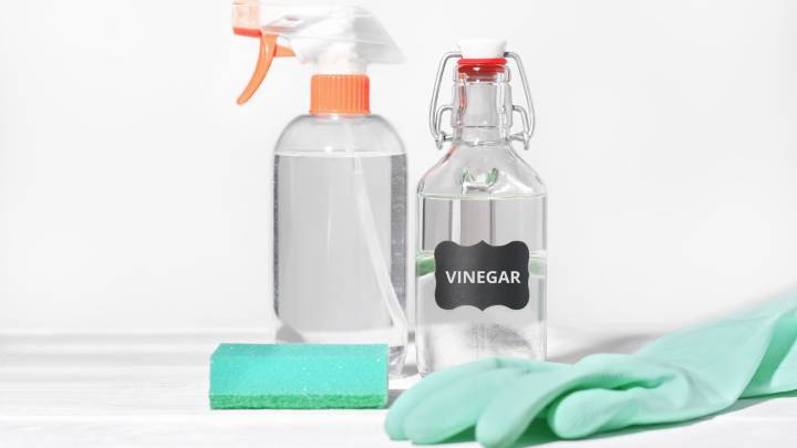Homeowners Urged To Spray Vinegar On Crawl Spaces, But Is It A Good Idea?