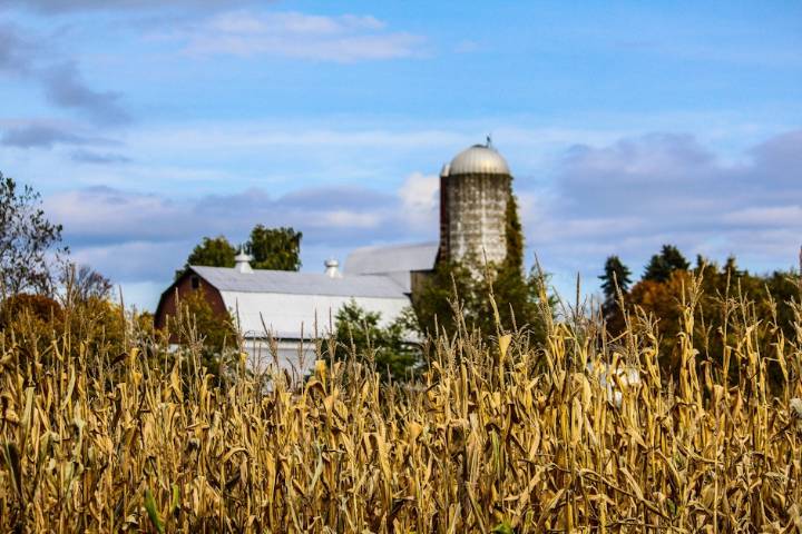 State halts rebates to farmers hit with fuel fees under WA climate law