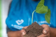 Jornada de reciclaje en Lanús: cómo es la iniciativa que inicia en octubre 2025