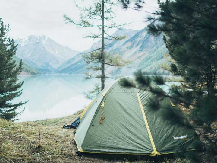 Envió por última vez fotos de un oso a su familia mientras acampaba y dos después apareció muerto