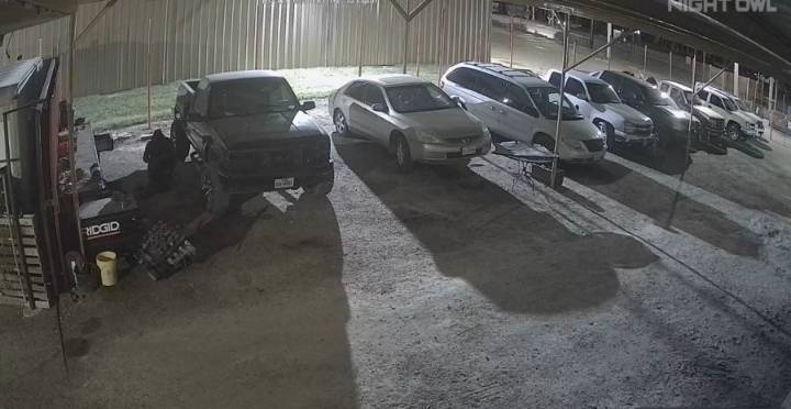 Surveillance video shows Donna theft suspects