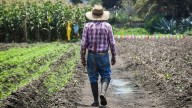 Agricultores del Edomex piden precios justos para el maíz y la tortilla