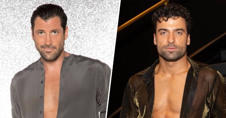 'DWTS' Pro Maksim Chmerkovskiy Calls Out Jan Ravnik's Casting
