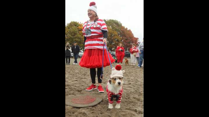 Rain’s no match for costumed mutts during 20th annual Halloween Howl