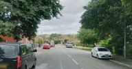 Police storm street after dog bites woman's hand near country park