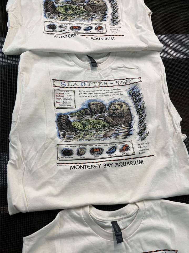 A T-shirt worn by Taylor Swift sparks a $2M windfall for sea otters – Chicago Tribune