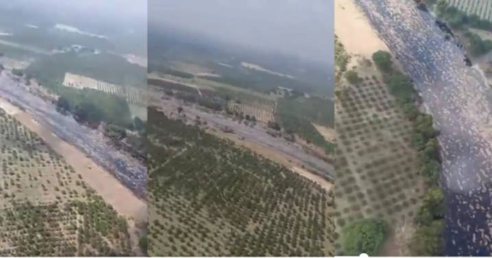 Larga mancha de petróleo invade ríos de Veracruz: pobladores alertan que el derrame de Pemex ya alcanzó el agua potable