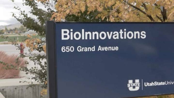 Utah State University launches program to treat domestic violence offenders