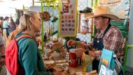Segunda jornada de La Mejor Taza 2025 exaltó la calidad del café y el cacao nariñense