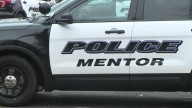 4-year-old girl hospitalized after dog attack in Mentor