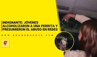 Indignante: jóvenes alcoholizaron a una perrita y presumieron el abuso en redes