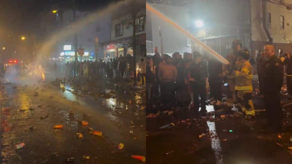 US Diwali Celebration Turns Messy As Police Sprinkle Water To Stop Fireworks