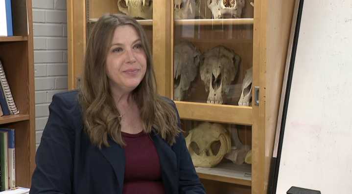How an ancient skull fragment was dated — and its place in Hoosier history