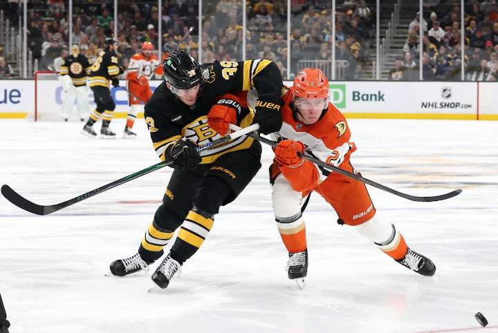 Bruins ‘embarrassed’ and ‘devastated’ after another ‘unacceptable’ loss
