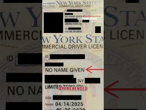 Illegal migrant apprehended with SHOCKING words on NY driver's license