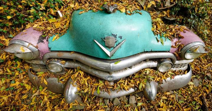 A vintage car graveyard in western Germany, in photos |
