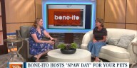 Bone-ito Pet Store hosts “spaw day” fundraiser for Noah’s Animal House