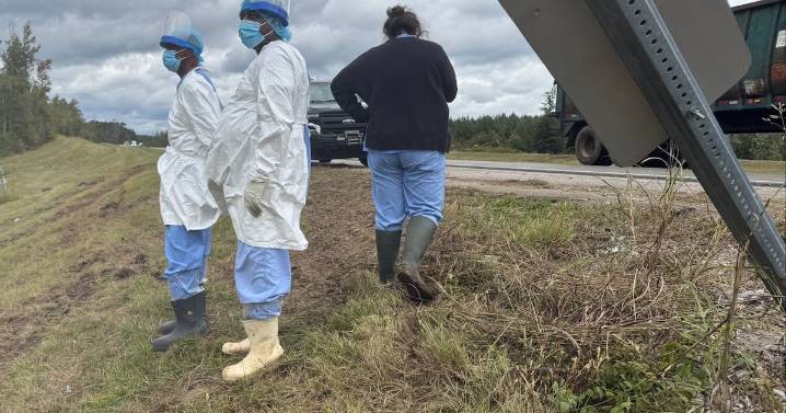 Mississippi monkeys: Second shot, one still on the loose
