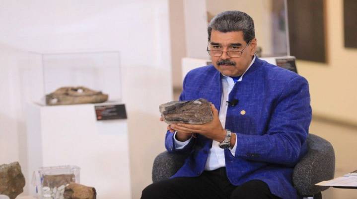 Científicos nacionales revelan nuevas especies de dinosaurios halladas en Venezuela