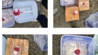 Gujarat: Raid at Valsad bungalow leads to seizure of MD worth Rs 30 crore, drug