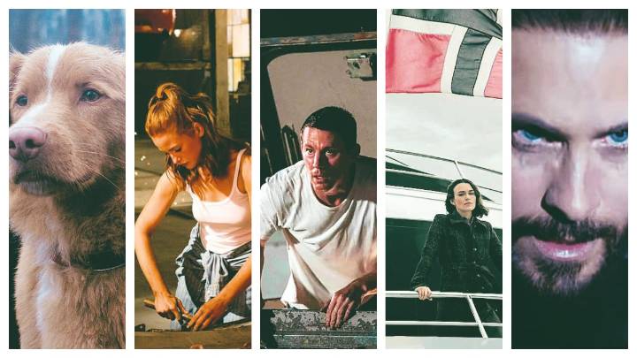 Screen time: Intrigue, action, and high