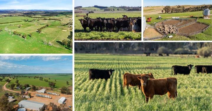 NSW rural property market: all the latest sales and listings
