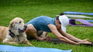 ¿Por qué la fuerza muscular es una herramienta clave para la longevidad?