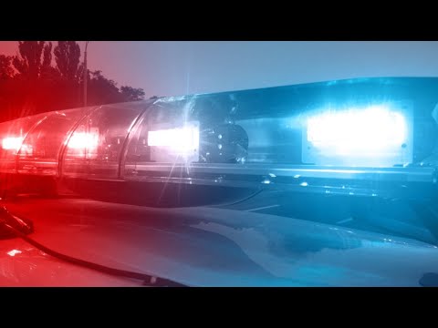 Child mauled to death by dog at unlicensed day care in Georgia