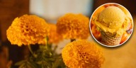 Helado de cempasúchil: cómo preparar este delicioso postre para Día de Muertos