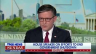 Mike Johnson Lies: 'Republicans Are The Party That Are Fixing Healthcare'
