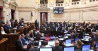 El Senado rechazó los vetos de emergencia en pediatría y universidades