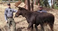 Hunters in North Idaho warned about realistic animal decoys