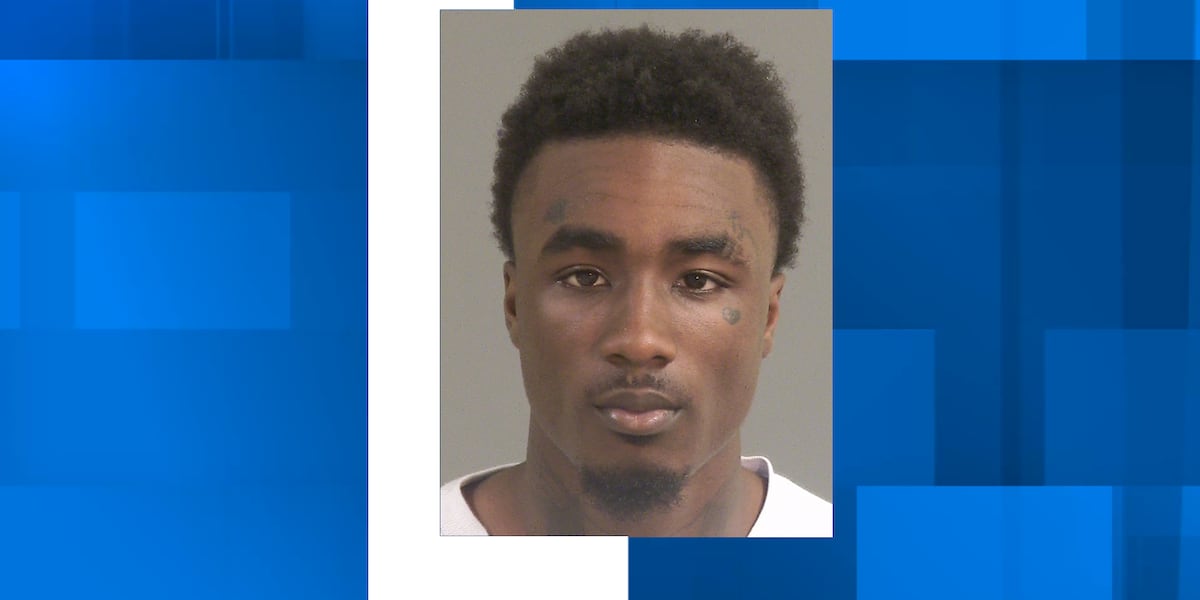 2 arrested after North Charleston foot chase, guns recovered, police say