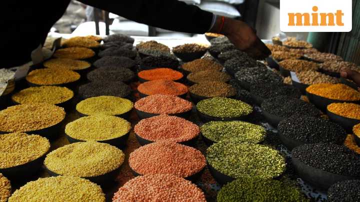 India faces heat from WTO market-access panel over import curbs, quality control