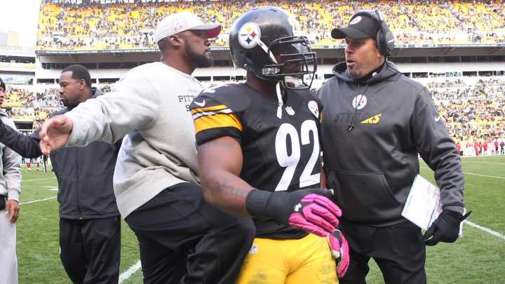 Ex-Steelers OC Todd Haley defends Mike Tomlin: 'Who else you gonna get?'