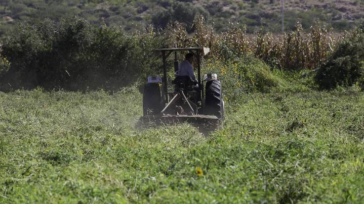 Generan bolsa de 9 mdp para apoyar a productores agropecuarios de Pedro Escobedo