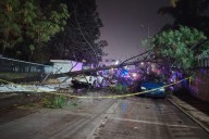 Cae árbol de gran porte sobre barda del Issste Tulancingo, causa daños