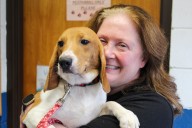 House committee opens hearings on bill to ban medical research on dogs