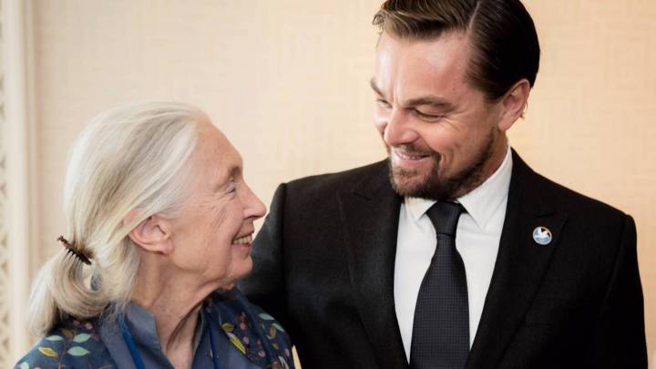 Leonardo DiCaprio Pens Heartfelt Tribute to 'Dear Friend' Jane Goodall