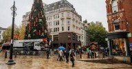 Midlands council told to 'get priorities right' after putting up 65ft Christmas tree in October