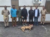 Man-eating wolf that attacked over 25 people neutralised in Bahraich