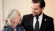 Leonardo DiCaprio Pens Heartfelt Tribute to 'Dear Friend' Jane Goodall