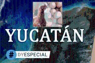 Este es el “top ten” de los municipios productores de huevo en Yucatán