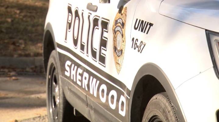 Victim allegedly kidnapped, forced to play Russian roulette in Arkansas: Police