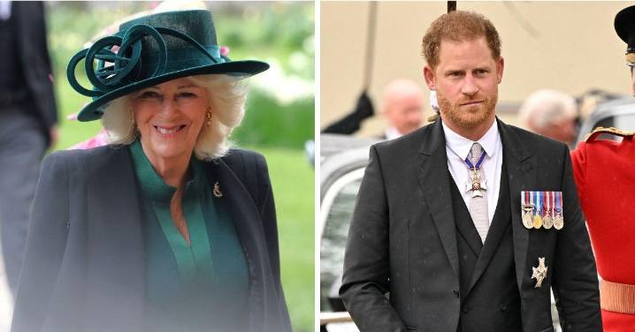 Prince Harry's Queen Camilla Claim Slammed As 'Lies' by Ex
