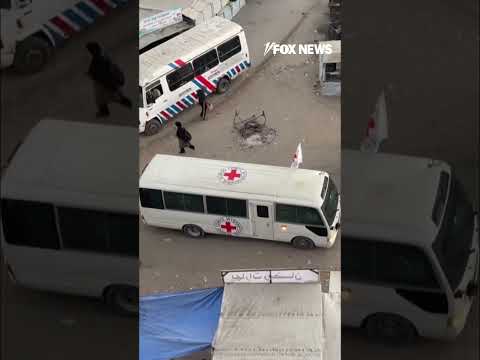 Red Cross vehicles enter Gaza ahead of hostage release #shorts #foxnews #world #israel #news