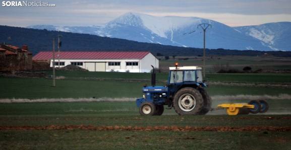 Castilla y León exige al Gobierno medidas por los bajos precios agrícolas y rechaza la nueva PAC